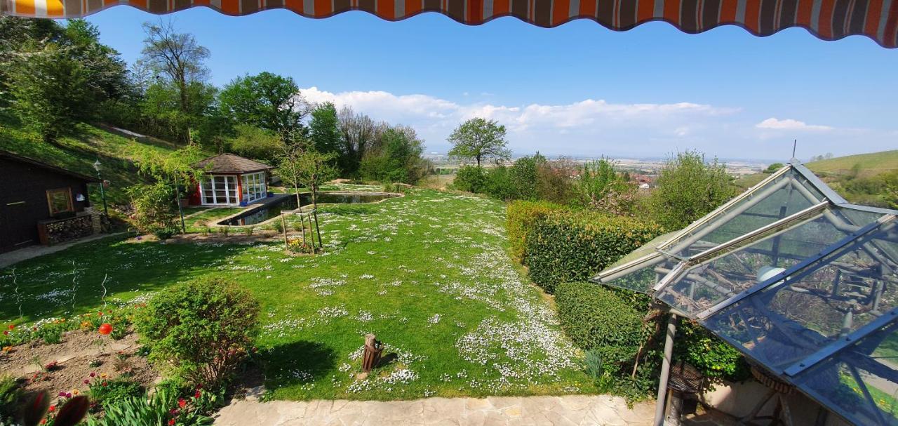 Paradies 1 Ballrechten-Dottingen Екстер'єр фото