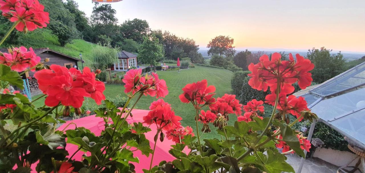 Paradies 1 Ballrechten-Dottingen Екстер'єр фото
