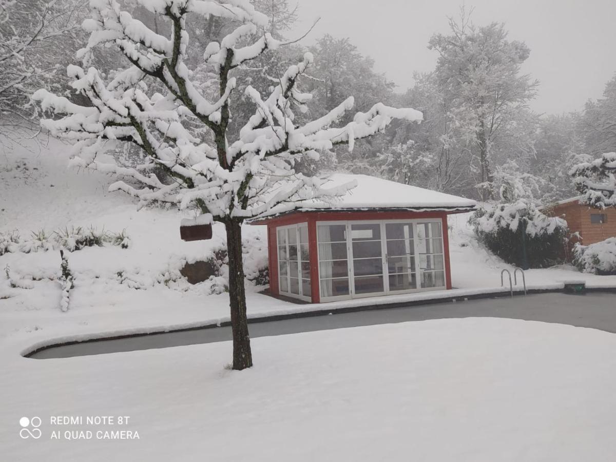 Paradies 1 Ballrechten-Dottingen Екстер'єр фото