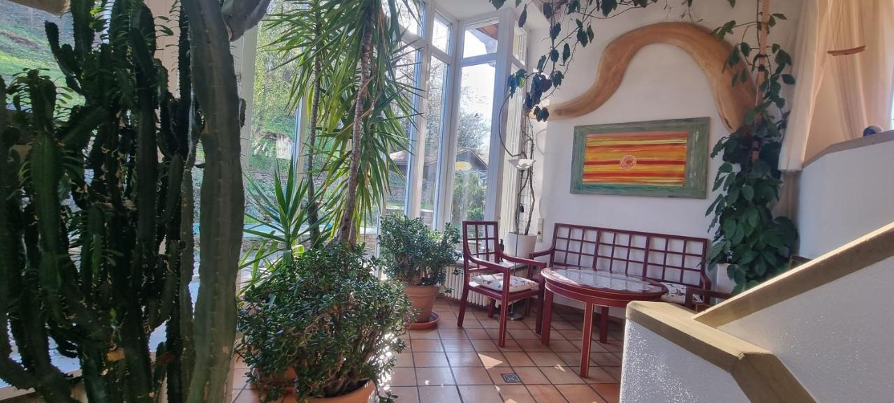 Paradies 1 Ballrechten-Dottingen Екстер'єр фото