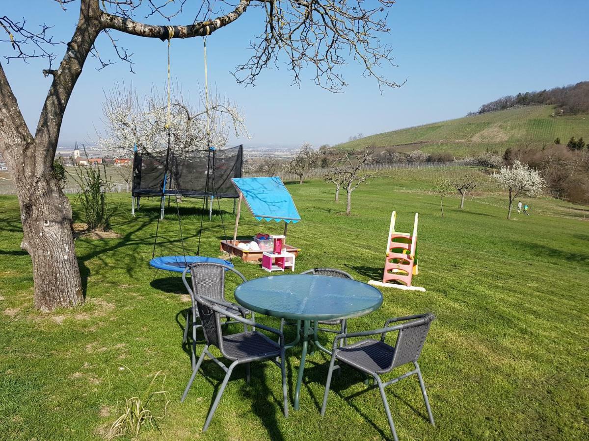 Paradies 1 Ballrechten-Dottingen Екстер'єр фото